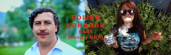 MESCALINE Аркадак