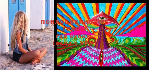 MESCALINE Аркадак