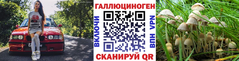 Галлюциногенные грибы Psilocybe Кизляр