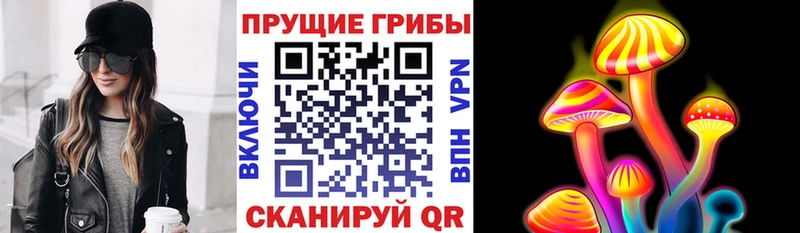 Псилоцибиновые грибы прущие грибы  Кизляр 